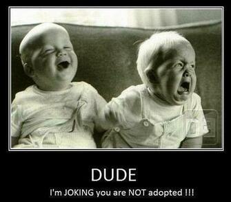Funny Image Fridayfunny Friday Pictures HD Wallpaper