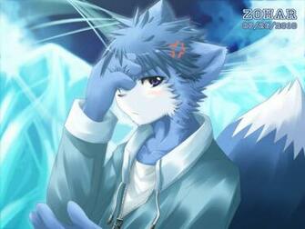 Furry Wallpaper
