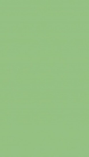 iPhone Clovers With Calendar Home Screen Wallpaper