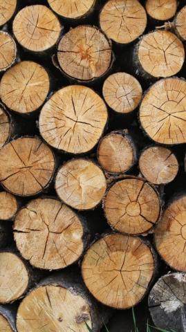 Wooden Logs Texture Wallpaper iPhone Android Desktop