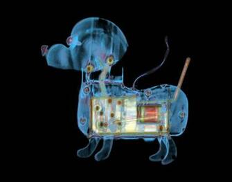 Cool Radiology Image Crazy Gallery
