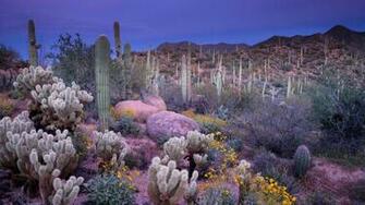 Hearings On Interstate Draft Environmental Impact Statement