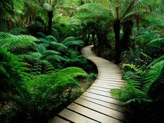Beautiful Nature 3d Wallpaper Pictures