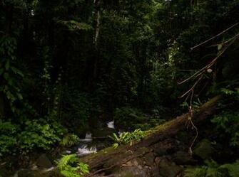 Lihir Island Papua New Guinea Wallpaper Christian