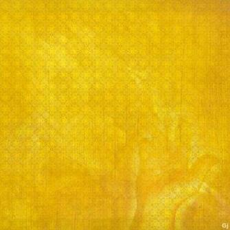 The Yellow Wallpaper Theme Essay