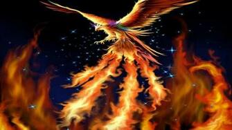 Phoenix Bird Wallpaper HD Net