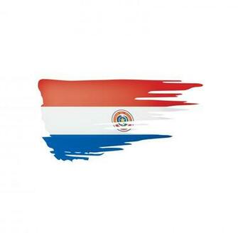 Paraguay Flag Vector Illustration On A White Background Stock