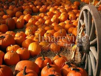 Thanksgiving Wallpaper And Desktop Background For S