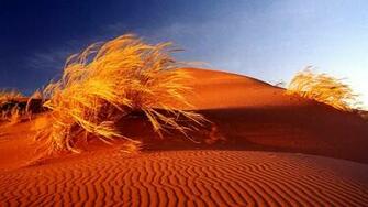Africa Wallpaper Best