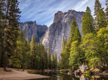 Mountain Trees Wallpaper iPhone Android Desktop Background