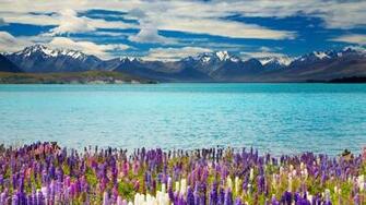 Zealand Lake Tekapo Ultra HD 4k Wallpaper