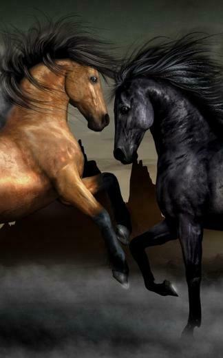 Horses Live Wallpaper Android Apps On Google Play