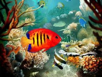 3planesoft Tropical Fish 3d Screensaver V1