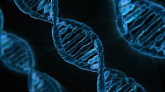 Controversial Alzheimer S Disease Risk Gene Explained In New Study