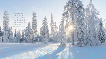 Desktop Wallpaper Calendar December To