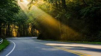 Sunshine Forest Road HD Wallpaper Blue Ridge Parkway
