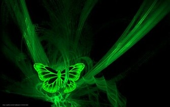 Wallpaper Butterfly Neon Black Green Desktop