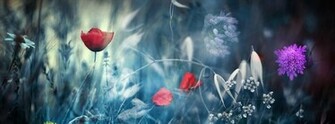 Wallpaper Cool Cover Amazing
