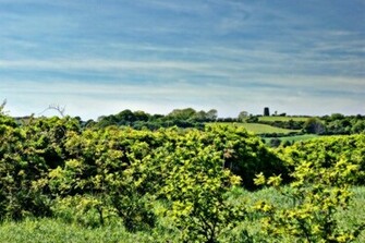 Ireland Irish Countryside Farmland HD Wallpaper Of Car Pictures