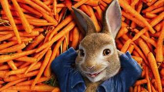 Peter Rabbit HD Wallpaper 7wallpaper Net