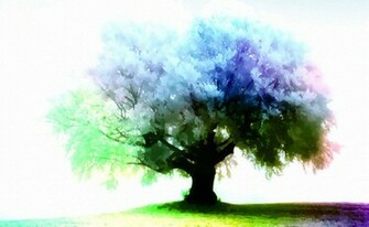 Season Tree Wallpaper