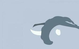 Minimalist Wallpaper Of Donphan Paperpull