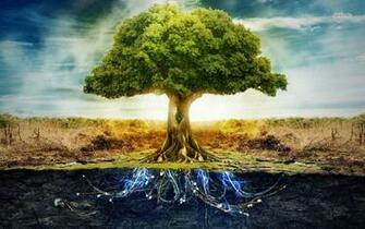 The Tree Of Life