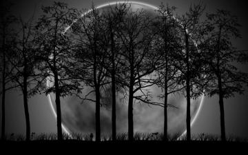 Dark Forest With Moon Wallpaper On