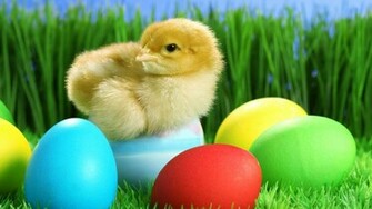 Funny Easter Wallpaper For Desktop Background Background