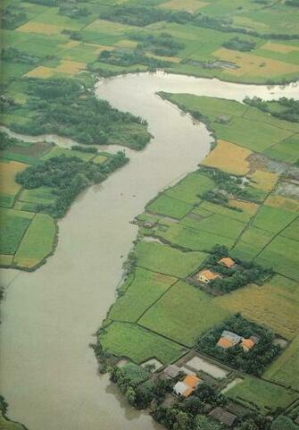 Net Fishing On The Hau Giang River South Vietnam