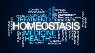 Video Homeostasis Animated Word Cloud Text Design Animation