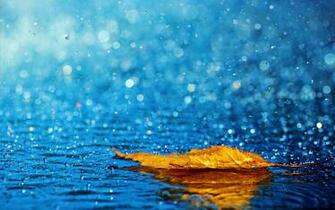 Rain HD Wallpaper For Desktop One Pictures Background