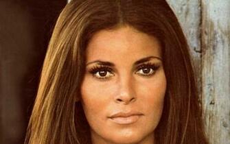 Raquel Welch Desktop Wallpaper Stock HD Background
