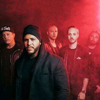 Bad Wolves Home