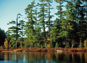 Sylvania Wilderness Wikipedia