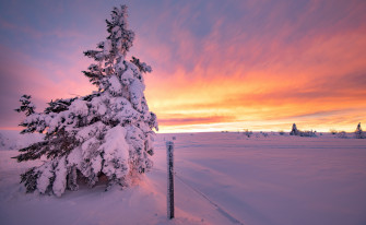 Nature Winter 4k Ultra HD Wallpaper
