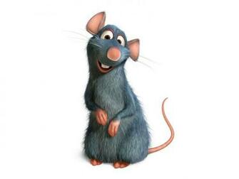 Cartoons Wallpaper Ratatouille Remy