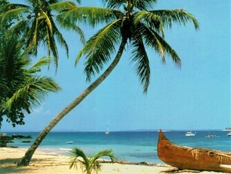 Tropical Beach Wallpaper Desktop