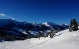 Wallpaper Background Winter Background Mountains Pine Trees Clear