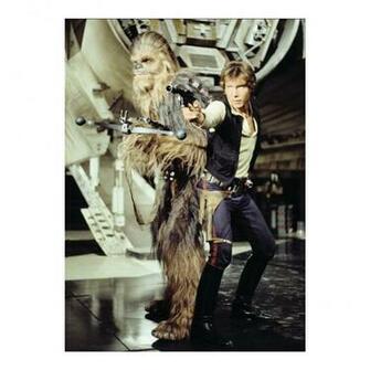 Chewbacca Han Solo Fridge Magnet Buy Online Star Wars