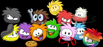 Puffle Puffles Club Penguin