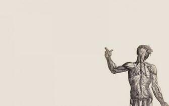 Anatomy Human Wallpaper Body