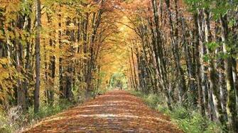Wallpaper Rails To Trails Conservancy