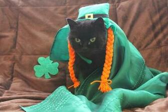 St Patrick S Day Cat Wallpaper Px H3xzbpj Picserio