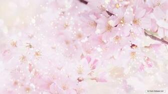 Wallpaper Flower Cg Flowers