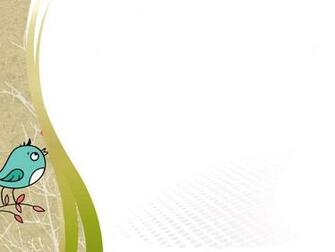 Types Of Birds Ppt Background