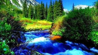 Blue Mountain Stream