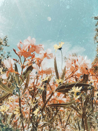 Aesthetic Vintage iPad Wallpaper