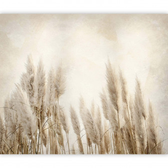 Pampas Grass Wallpaper