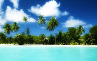 Tropical Wallpaper Widescreen Amazing